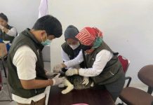 Momentum Peringatan Hari Rabies Sedunia , 1.881 Ekor HPR Divaksinasi Gratis di Sulbar
