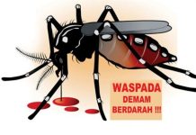 Dinas Kesehatan Sulbar Minta Warga Waspada DBD