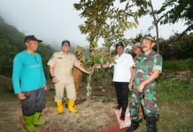 Pj. Gubernur Sulbar Bahtiar Akan Anggarkan 1 Juta Bibit Durian Untuk Dibagikan ke Warga Sulbar