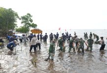 Dalam Rangka HUT RI, PJ Bahtiar bersama Forkopimda dan Masyarakat Tanam 20 Ribu Mangrove di Pantai Ampallas
