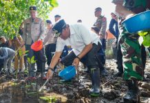Jadikan Sulbar Provinsi Pengekspor Kepiting, PJ Bahtiar Kembali Tebar Ribuan Benih Kepiting di Kalukku