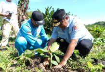 Pj Gubernur Sulbar Bahtiar : Sukun Sumber Gizi Alternatif dan Perkuat Ketahanan Pangan