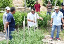Temui Petani Sampaga, Pj Bahtiar Dorong Sulbar Miliki Brand Sendiri atas Produk Perkebunan