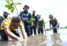 Semua Pihak Terlibat Sepekan Menanam Mangrove, PJ Bahtiar, Terima Kasih dan Ini Perlu Berkelanjutan