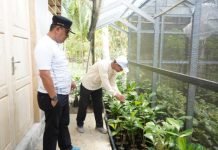 Pikirkan Masa Depan Masyarakat, Pengusaha Budidaya Aren Apresiasi Program PJ Bahtiar