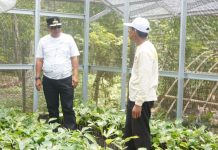 Dukung Pengembangan Komoditi Utama Sulbar, Pj Bahtiar Beli 3.000 Bibit Tanaman Aren di Polman