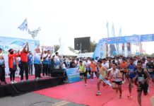 Sambut HUT Sulbar Dua Dekade , Bersama PT PLN, Sekprov Lepas dan Sambut Peserta Fun Run 4 KM