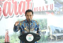 PJ Gubernur Sulbar Bahtiar, Kembali Ingatkan Jaga Netralitas ASN dalam Pilkada