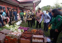 Pj Ketua TP PKK Sulbar Sofha Marwah, Lihat Langsung Warga Nosu Berbelanja di Pasar Murah