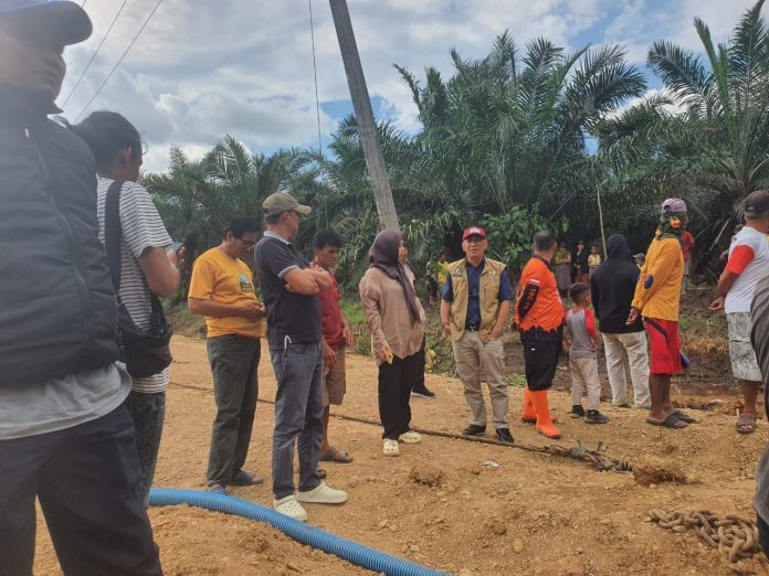 WhatsApp Image 2024-11-03 at 19.14.20