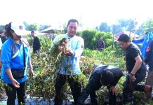 Pemprov Sulbar Akan Bagi Bibit Hortikultura, Ini Imbauan Pj Bahtiar