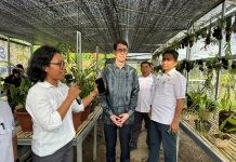 Pemprov Sulbar dampingi Konsul Australia dan Mahasiswa Saat Mengunjungi Estalase Anggrek