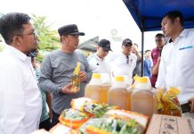 Kolaborasi Laksanakan GPM di Majene, Pj. Bahtiar Harap Pemda Lengkapi Data Komoditi dan Lakukan Peningkatan Produksi