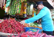 Pj. Gubernur Sulbar Pantau Harga Komoditi di Pasar, Produksi Cabe Kurang, Harga Beras Mulai Melonjak
