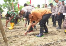 Dukung Swasembada Pangan, PJ. Bahtiar Ikuti Penanaman Jagung Serentak 1 Juta Hektar