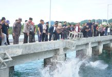 Ketua DPRD Sulbar Hadiri Kegiatan Penurunan Seribu Karang Buatan di Teluk Mamuju