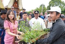 Pemprov Sulbar Bagikan Bibit Pohon Gratis di Tabang, Ludes Diserbu Warga