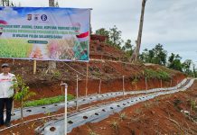 DP3AP2KB Sulbar Hadiri Penanaman Komoditi Pangan Yang Dilaksanakan Polda Sulbar
