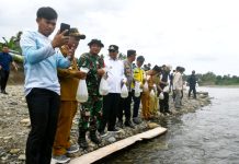 Tiga Puluh Ribu Benih Ikan Nila dilepas di Bendungan Banua Majene