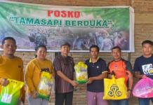Kadis DP3AP2KB Sulbar Kunjungi Korban Banjir Dan Longsor di Kelurahan Tamasapi Mamuju
