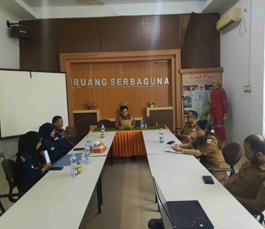 Kolaborasi Pusat-Daerah, Survei EBT Kementerian ESDM Perkuat Basis Kebijakan Energi Bersih Sulbar