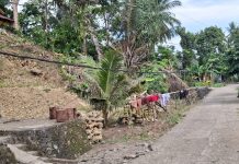 Kabel Milik PLN Di Mamuju Tidak Ter Urus, Ancam Keselamatan Warga Di Desa Ahu