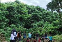 Kolaborasi DKP Sulbar dan Korem 142: Budidaya Ikan Nila untuk Pangan yang Berkelanjutan
