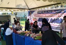 Pasar Murah Pemprov Sulbar di Lapangan Rangas Mamuju, Beras dan Bahan Pokok Lainnya Dijual dengan Harga Terjangkau