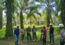 Tindaklanjuti Aduan Warga, Tim Terpadu Pemprov Sulbar Tinjau Dugaan Pencemaran Limbah Perusahaan Sawit di Baras Pasangkayu