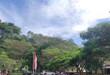 Semarak HUT ke-80 RI, Biro PBJ Setda Sulbar Gelar Lomba Internal Penuh Kebersamaan