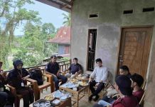 Dukung Produktivitas Petani di Mamuju, Anggota DPD RI Andri Prayoga Putra Singkarru Serahkan Bantuan Pupuk