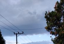 Door to Door Dinilai Efektif, Kepala Bapenda Sulbar Apresiasi Penagihan PKB Rp12,76 Juta di Mamasa