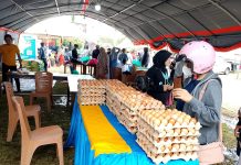 Kawal Inflasi, Pemprov Sulbar Gelar Gerakan Pangan Murah Didukung Bulog dan Diawasi Tim SBHP