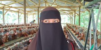Lulusan 2023 Unimaju Sukses Kembangkan BUMDes, Yuliana Dorong Desa Lebani Menuju Swasembada Pangan