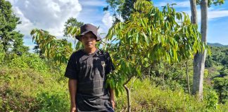 Kehadiran Tambang LTJ di Botteng, Timbulkan Kekhawatiran Masa Depan Petani Durian Motong