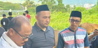Karo Pemkesra Sulbar Dampingi Gubernur Laksanakan Penyembelihan Hewan Kurban di Halaman Rujab