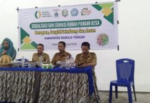 Dinas Pangan Sulbar Launching Rumah Pangan B2SA di Tabolang, Dorong Kemandirian Pangan dan Cegah Stunting
