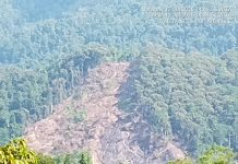 KPH Karama Akan Tinjau Dugaan Perambahan Kawasan Hutan Lindung di Desa Tanete Pao , Pelanggar Terancam Diproses Hukum