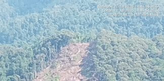 KPH Karama Akan Tinjau Dugaan Perambahan Kawasan Hutan Lindung di Desa Tanete Pao , Pelanggar Terancam Diproses Hukum