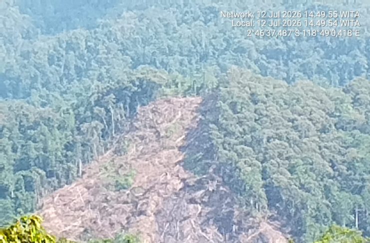 KPH Karama Akan Tinjau Dugaan Perambahan Kawasan Hutan Lindung di Desa Tanete Pao , Pelanggar Terancam Diproses Hukum