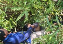 BREAKING NEWS: Perempuan Ditemukan Meninggal Dunia Tergantung di Pohon di Desa Botteng, Mamuju