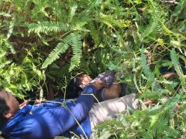 BREAKING NEWS: Perempuan Ditemukan Meninggal Dunia Tergantung di Pohon di Desa Botteng, Mamuju