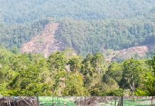 KPHK Karama Bergerak! Aktivitas Perambahan Hutan Tanete Pao Diminta Segera Dihentikan
