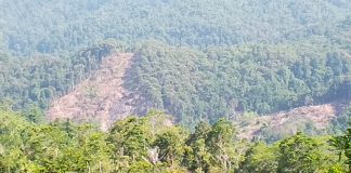 KPHK Karama Bergerak! Aktivitas Perambahan Hutan Tanete Pao Diminta Segera Dihentikan