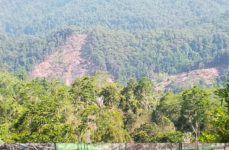 KPHK Karama Bergerak! Aktivitas Perambahan Hutan Tanete Pao Diminta Segera Dihentikan