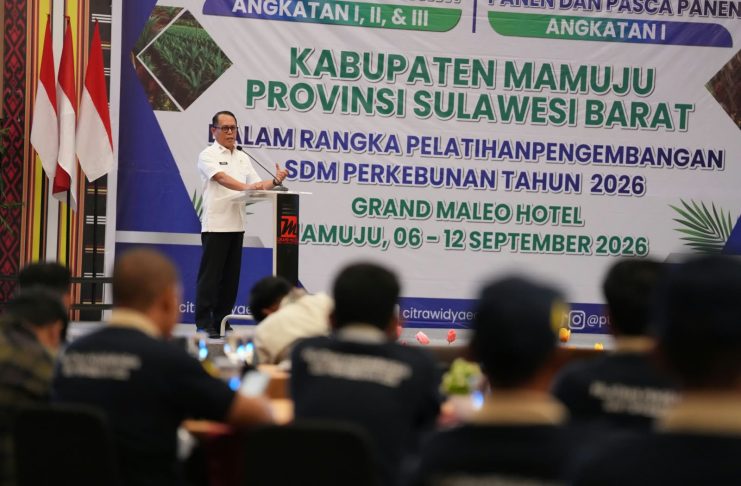 Potensi Sawit Sulbar Besar, Pemprov Fokus Tingkatkan Kualitas Petanil