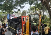 Bus Neo Trans Kecelakaan Tunggal di Pendakian Pintu Gerbang Salupangi Mamuju, Sopir dan Penumpang Dilarikan ke RS