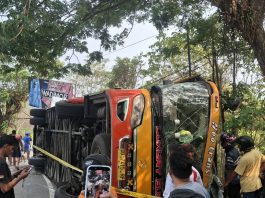 Bus Neo Trans Kecelakaan Tunggal di Pendakian Pintu Gerbang Salupangi Mamuju, Sopir dan Penumpang Dilarikan ke RS
