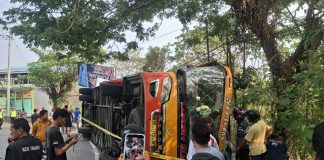 Bus Neo Trans Kecelakaan Tunggal di Pendakian Pintu Gerbang Salupangi Mamuju, Sopir dan Penumpang Dilarikan ke RS