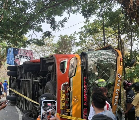 Bus Neo Trans Kecelakaan Tunggal di Pendakian Pintu Gerbang Salupangi Mamuju, Sopir dan Penumpang Dilarikan ke RS